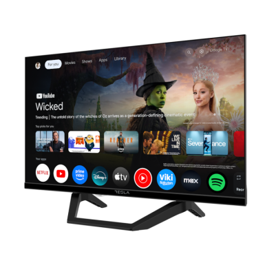 Tesla - TESLA TV 24E655BHS Google TV  DC Adapter za automobil  12V  BOX Zvucnici 2x5W