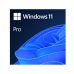 Windows 11 Pro 64bit OEM