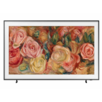 SAMSUNG TV QE65LS03DAUXXH