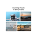 DJI Lito X1 FMC (DJI RC-N3) DJI Lito X1 FMC (DJI RC-N3)